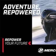 Mercury Repower Program