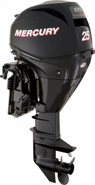EFI 25hp
